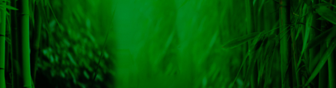 Read more about the article Eyes Of Fortune