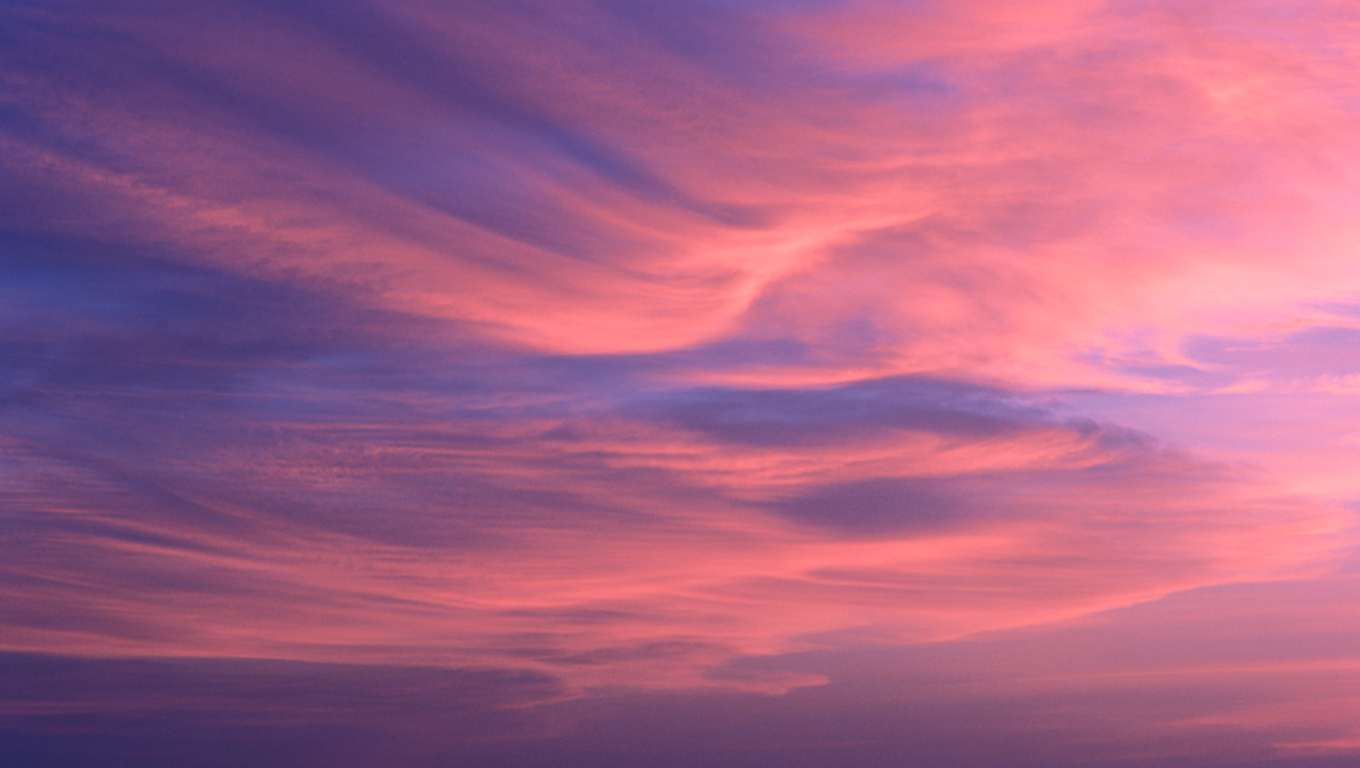 Read more about the article Golden Tree Plus