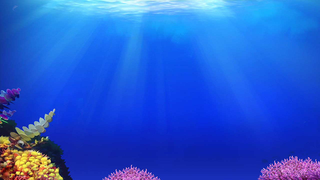 Read more about the article Magic Pearl