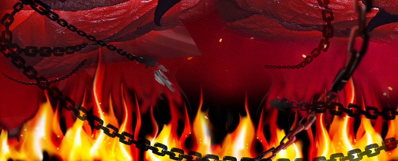 Read more about the article Wild Fox