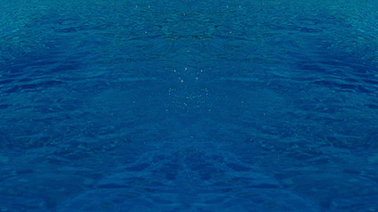 Read more about the article Dolphin Reef