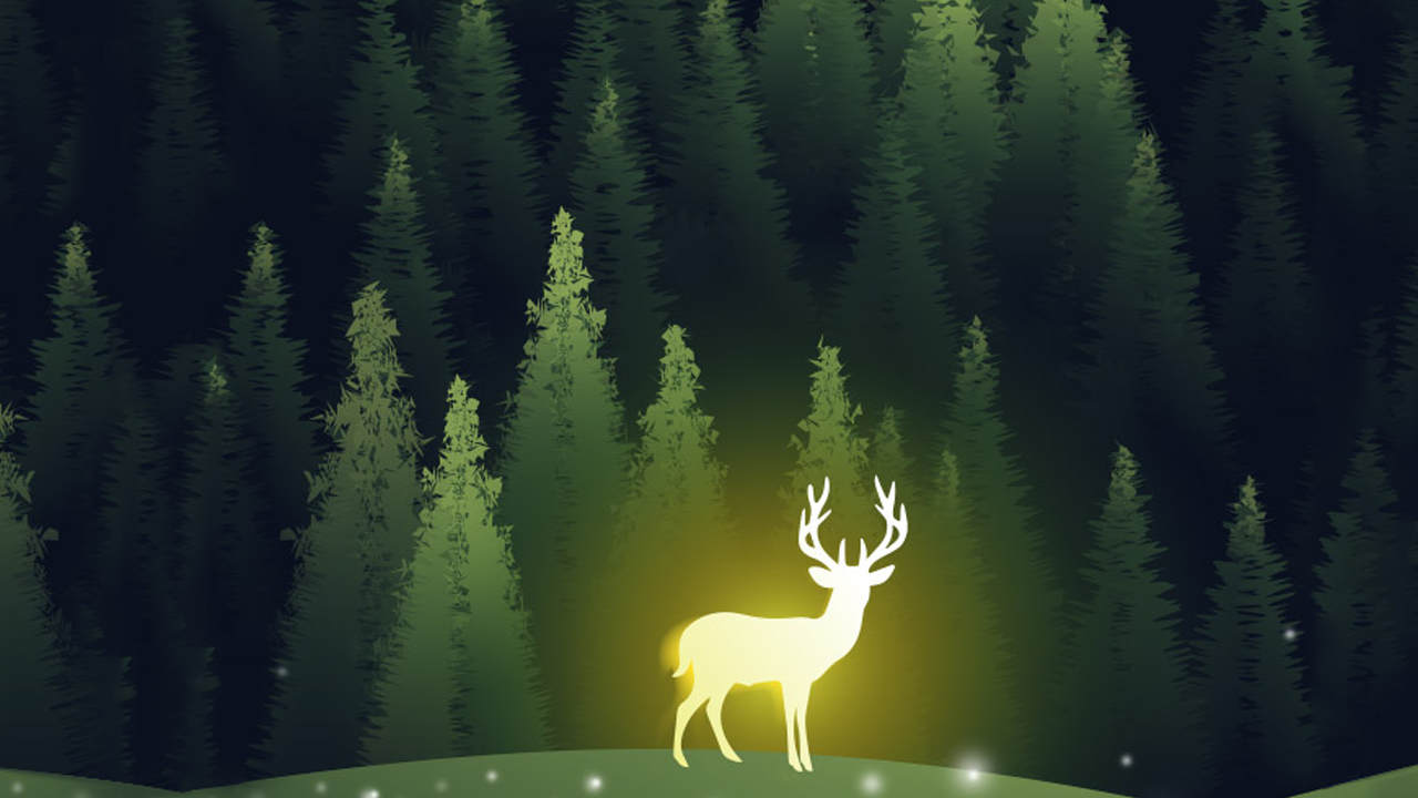 Read more about the article Fairy Garden Plus