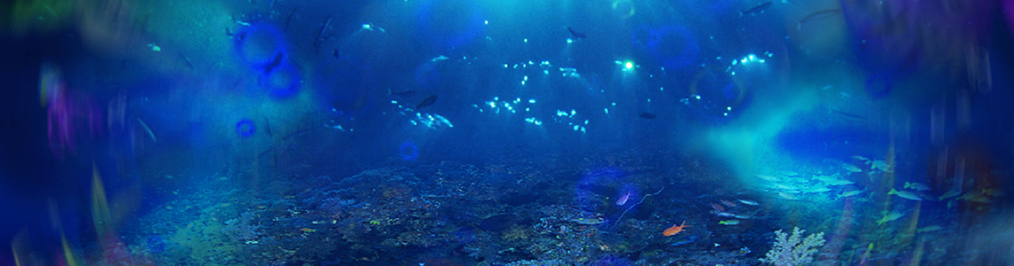 Read more about the article Mermaid Beauty