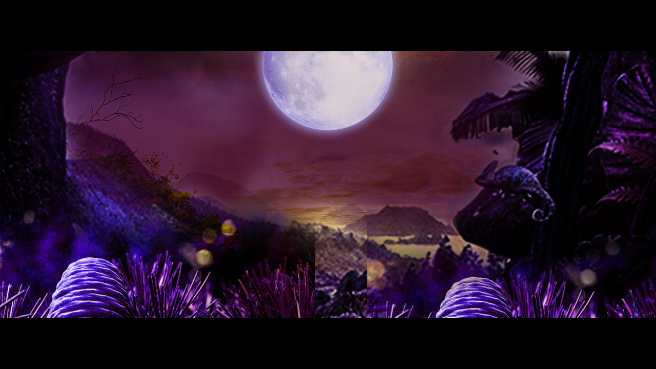 Read more about the article Panther Moon