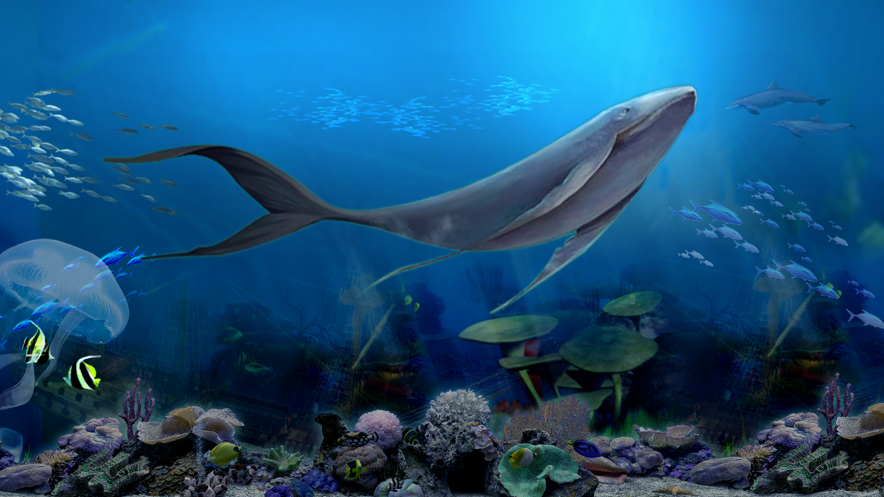 Read more about the article Sea World